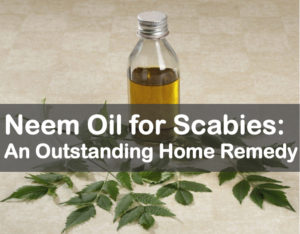 neem oil for scabies 