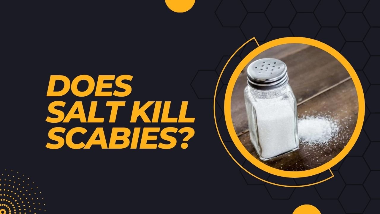 Does Salt Kill Scabies